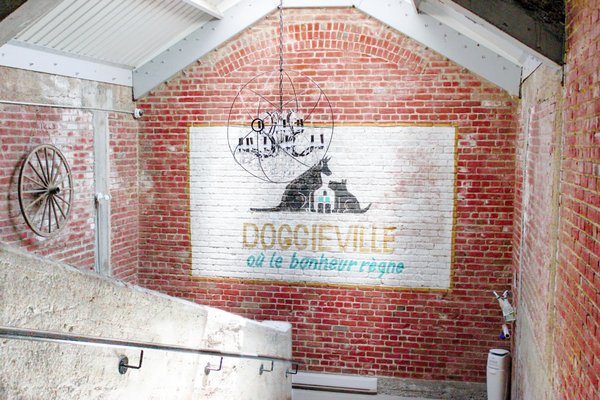 DOGGIEVILLE MTL by null