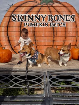 SKINNY BONES PUMPKIN PATCH - TEMP. CLOSED - Updated January 2026 - 128