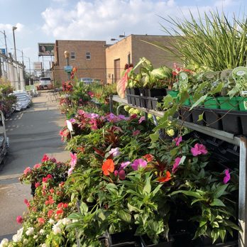 Growers Outlet - Nurseries & Gardening Near Me - Chicago, Illinois Growers Outlet - Nurseries & Gardening Near Me - Chicago, Illinois
