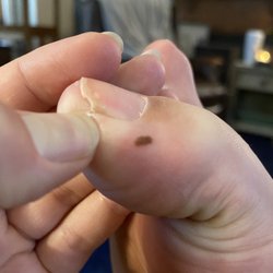 Nail Tech - I am 9 months pregnant and this was not an easy fix for me.