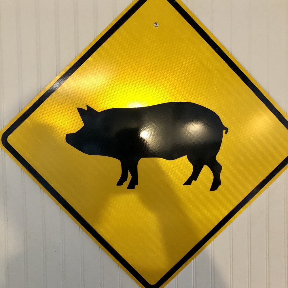Always watching for pigs crossing in front of a barbecue place Always watching for pigs crossing in front of a barbecue place