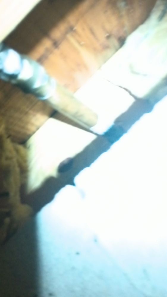 Slide of Medusa Snaking And Plumbing