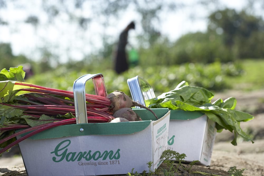 GARSONS FARM Updated September 2024 34 Photos & 15 Reviews