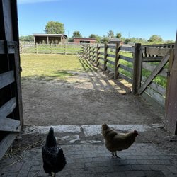Kline Creek Farm
