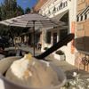 Bella Creamery gift card