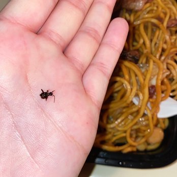 Dumpling Garden - Danvers - Roach I found in my lo mein! - Chinese Near Me - Danvers, Massachusetts