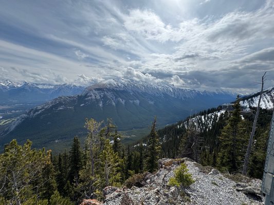Sulphur Mountain by null
