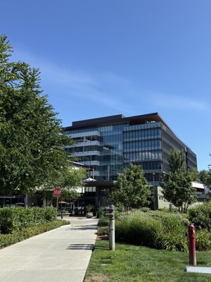 Kirkland Urban by null