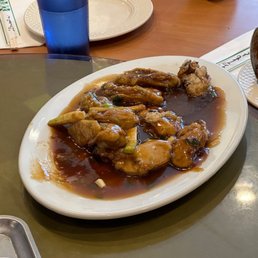 Oysters
