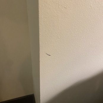 Hilton Baton Rouge Capitol Center - More marks on wall - Hotels Near Me - Baton Rouge, Louisiana