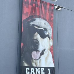 Raising Cane's Chicken Fingers - Gotta love it! }:{