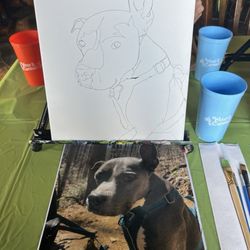 Wine and Canvas-Tampa