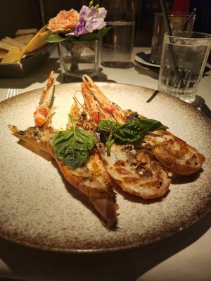 Paper Moon Giardino by null