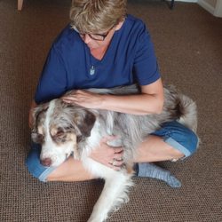 Innergizing Reiki and Soul Healing