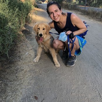 Golden Retriever Buddies - Pet Adoption Near Me Golden Retriever Buddies - Pet Adoption Near Me