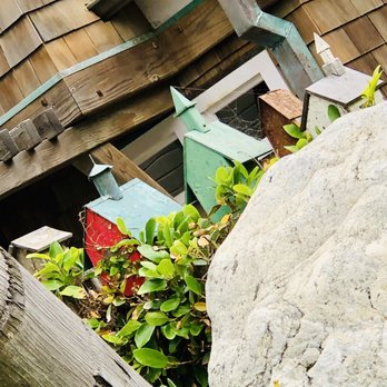 La Jolla - So nice. Someone builds birdhouses to decorate their property in La Jolla, CA - Beaches Near Me - San Diego, California La Jolla - So nice. Someone builds birdhouses to decorate their property in La Jolla, CA - Beaches Near Me - San Diego, California