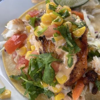 Tony's Seafood Restaurant - Ling cod tacos. 2 tacos are on the dinner menu plate. About $21. - Seafood Near Me - Marshall, California Tony's Seafood Restaurant - Ling cod tacos. 2 tacos are on the dinner menu plate. About $21. - Seafood Near Me - Marshall, California
