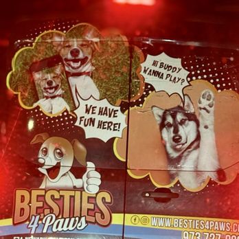 Besties 4 Paws - Cute advertising on van. - Pet Boarding Near Me - Pompton Plains, New Jersey Besties 4 Paws - Cute advertising on van. - Pet Boarding Near Me - Pompton Plains, New Jersey
