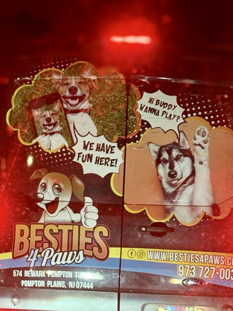 Besties 4 Paws - pet boarding facility in Pompton Plains, NJ