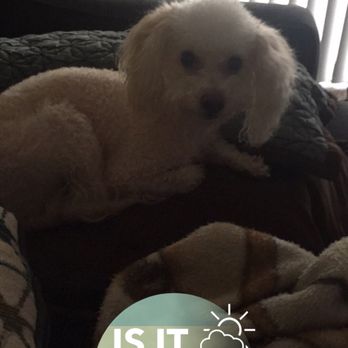 Muddy Paws - Pet Groomers Near Me
