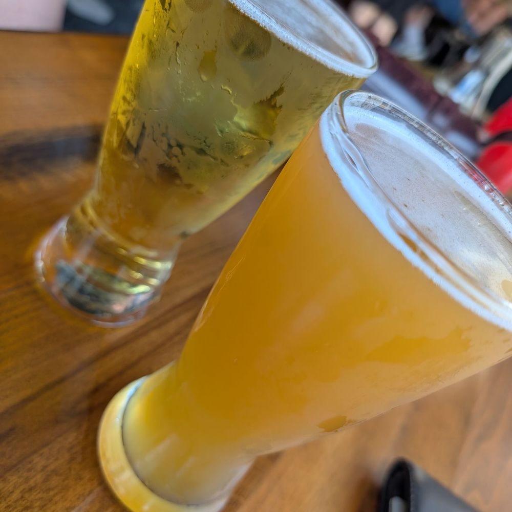 The Pony - Beer, duh. - Chicken Wings Near Me - Cincinnati, Ohio The Pony - Beer, duh. - Chicken Wings Near Me - Cincinnati, Ohio