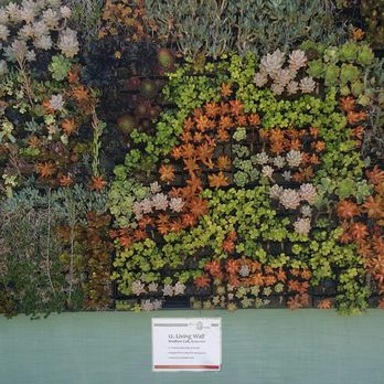 GreenScaped Buildings - Landscape Architects or Designers Near Me - San Diego, California