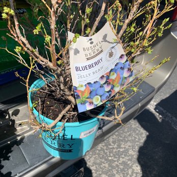 The Home Depot - Nurseries & Gardening Near Me - Reno, Nevada