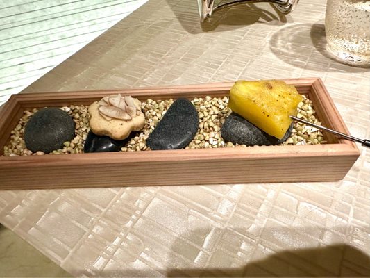 Beige Alain Ducasse by null