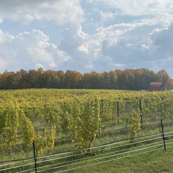 Waterfire Vineyards Torch Lake - a vineyard in autumn - Wineries Near Me - Kewadin, Michigan Waterfire Vineyards Torch Lake - a vineyard in autumn - Wineries Near Me - Kewadin, Michigan