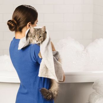 PetSmart - Pet Training Near Me - Foley, Alabama PetSmart - Pet Training Near Me - Foley, Alabama