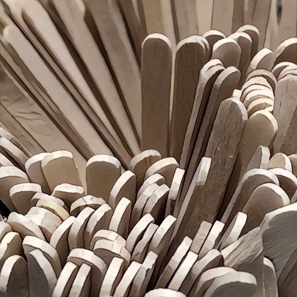 Starbucks - Stirrers 8/13/2016 - Coffee & Tea Near Me - Evanston, Illinois Starbucks - Stirrers 8/13/2016 - Coffee & Tea Near Me - Evanston, Illinois