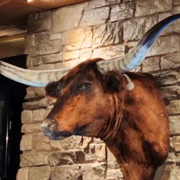 That ain't No Bull!