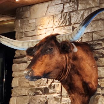 LongHorn Steakhouse - That ain't No Bull! - Steakhouses Near Me - Surprise, Arizona