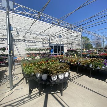 Walmart Garden Center - Plants - Nurseries & Gardening Near Me - Springdale, Arkansas Walmart Garden Center - Plants - Nurseries & Gardening Near Me - Springdale, Arkansas