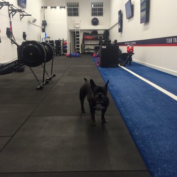 F45 Training Hermosa Beach - The mascot of F45! - Circuit Training Gyms Near Me - Hermosa Beach, California F45 Training Hermosa Beach - The mascot of F45! - Circuit Training Gyms Near Me - Hermosa Beach, California