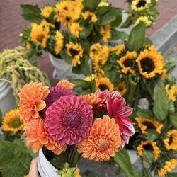 Menlo Park Farmers Market - Flowers