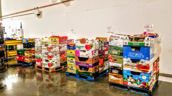 Food Lifeline by null