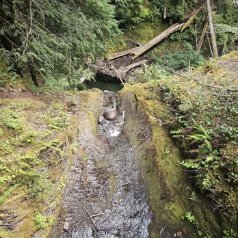 Lewis River Falls - Trail - Hiking Near Me - Cougar, Washington
