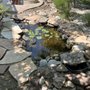 NoCo Grounds Landscaping