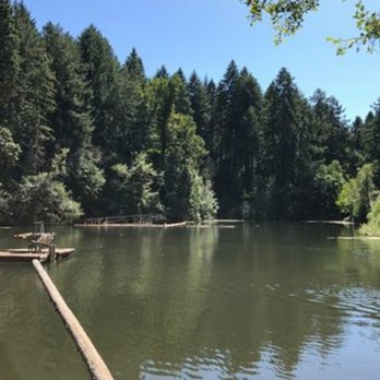 Peavy Arboretum - Hiking Near Me - Corvallis, Oregon Peavy Arboretum - Hiking Near Me - Corvallis, Oregon