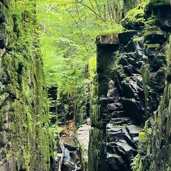 The Flume Gorge - Parks Near Me - Lincoln, New Hampshire The Flume Gorge - Parks Near Me - Lincoln, New Hampshire