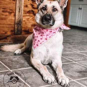 Bark Barn Grooming - Pet Groomers Near Me - Jamestown, Indiana