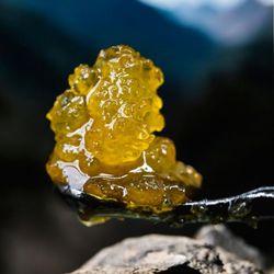 Apothecary Farms - Denver - Sour Papaya Ambrosia