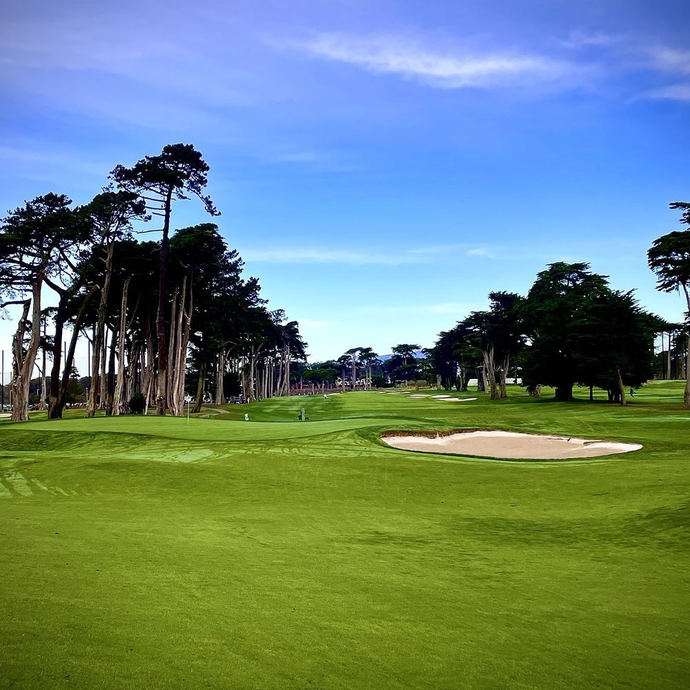 TPC Harding Park - Afternoon Light - Golf Near Me - San Francisco, California TPC Harding Park - Afternoon Light - Golf Near Me - San Francisco, California