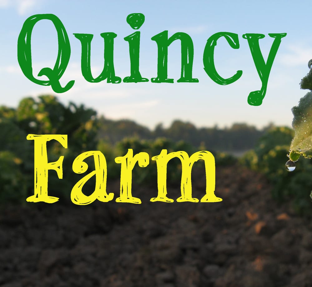 QUINCY FARM Updated August 2024 5 Wrights Rd, Schaghticoke, New