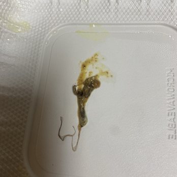 Miki's - Found whatever this is in our pastele stew. - Hawaiian Near Me - Pearl City, Hawaii