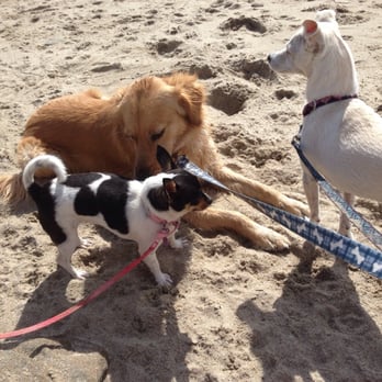 Leo Carrillo State Park - Dogs love it! - Parks Near Me - Malibu, California