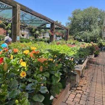 SHOAL CREEK NURSERY - Updated December 2025 - 162 Photos & 196 Reviews