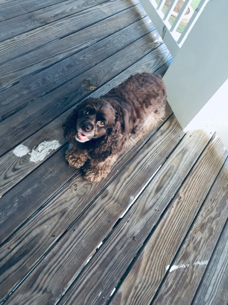 SALLY BEAUTY SUPPLY 3125 Updated July 2024 556 Highway 17 N, North