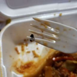 Twice cooked pork with a FLY in it! Twice cooked pork with a FLY in it!
